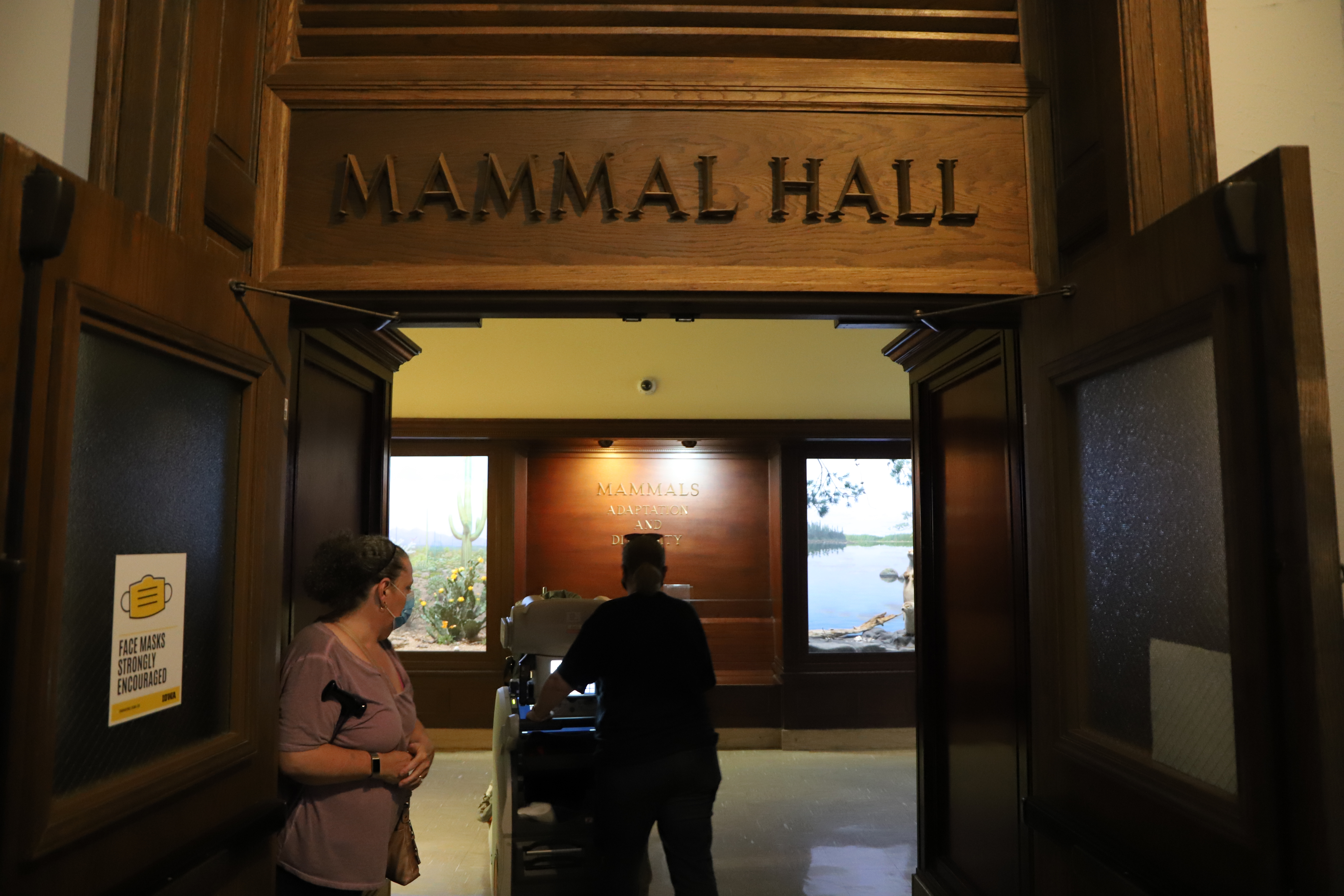 Radiology staff wheel portable xray machine into Mammal Hall at the Museum of Natural History