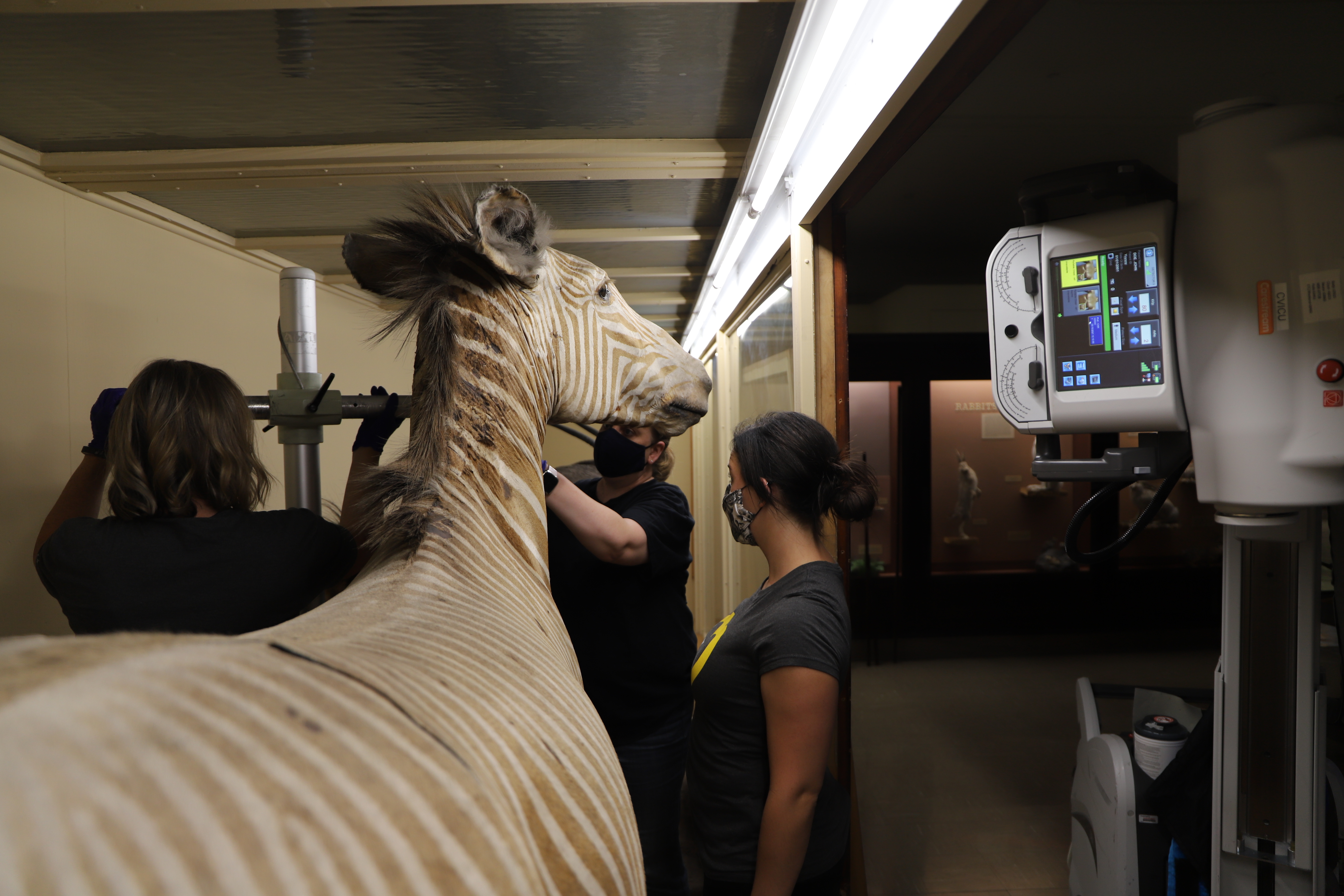 Radiology team sets up initial imaging