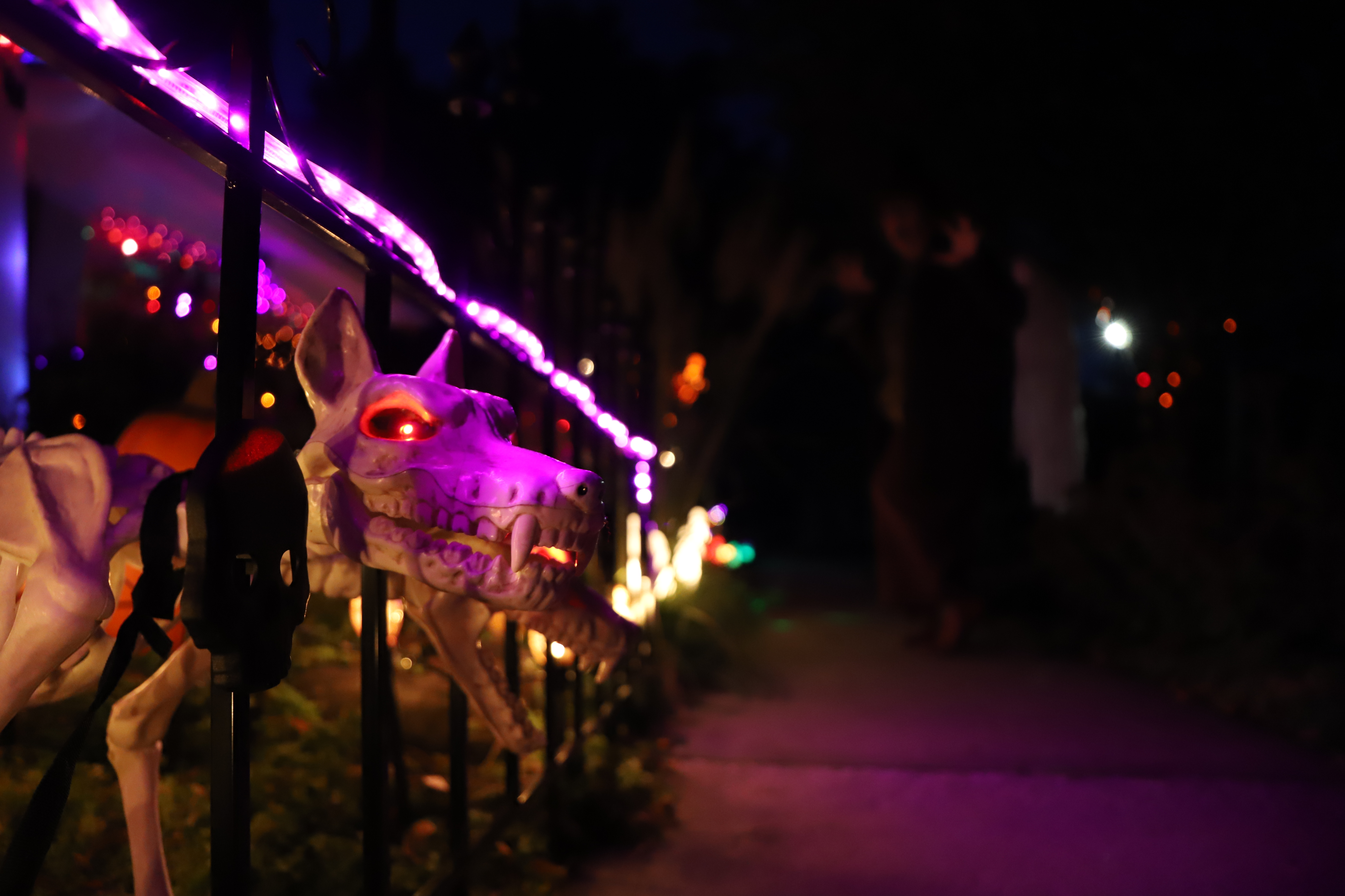 Beth's Spooky Collection Display