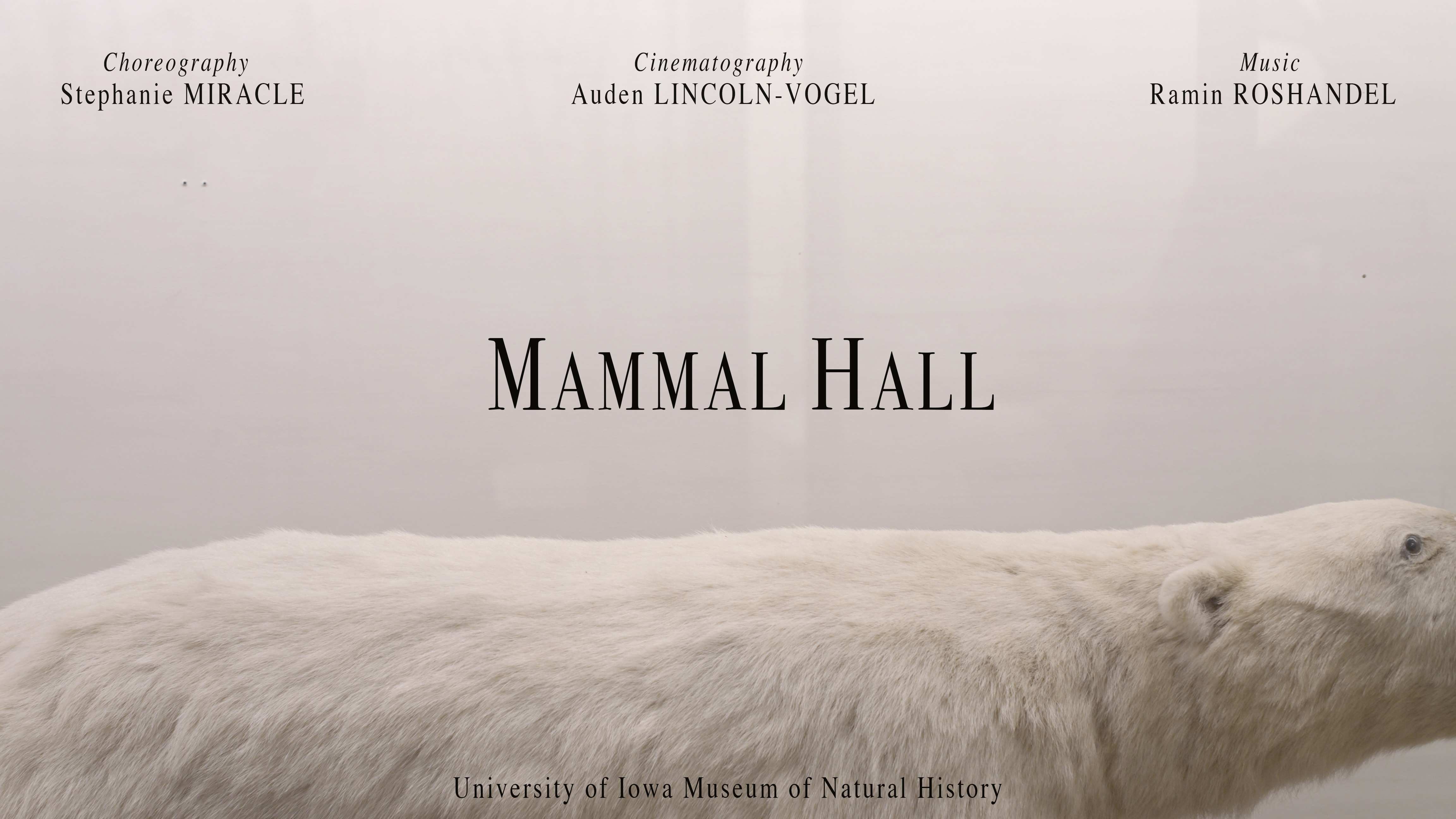 Film: MAMMAL HALL | Pentacrest Museums - The University of Iowa