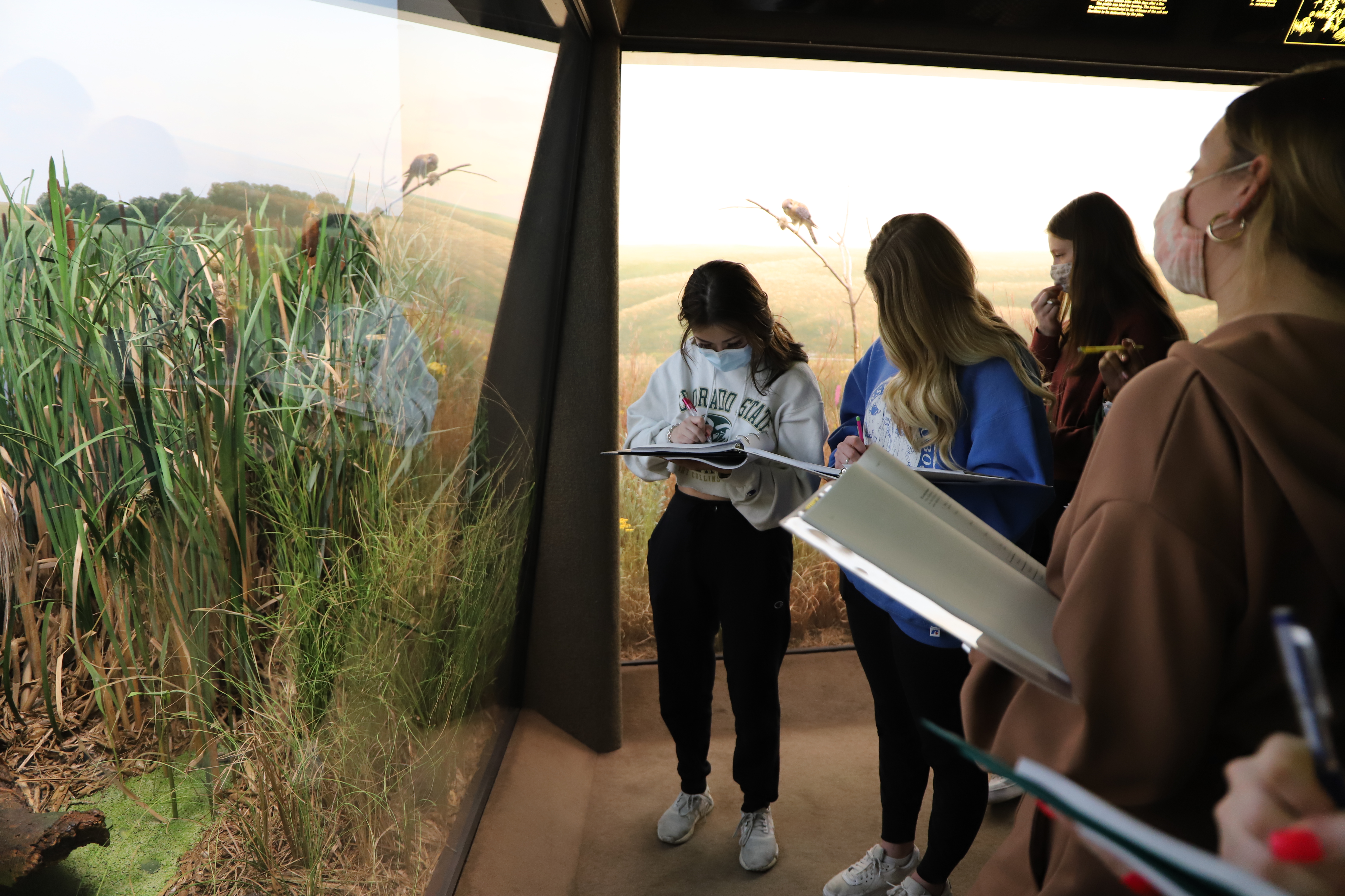 Introduction to Earth and Environmental Sciences lab visit to Museum of Natural History