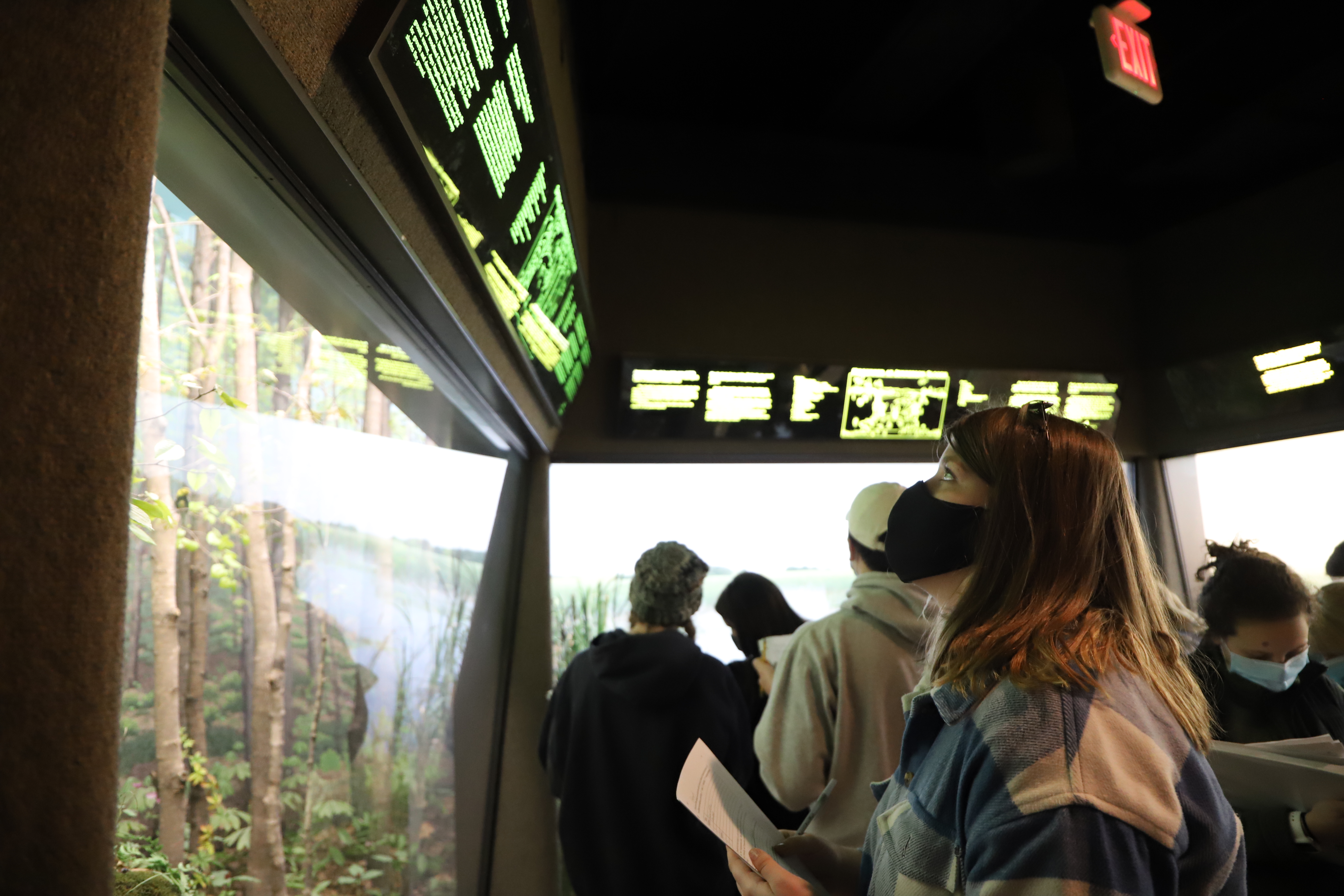 Introduction to Earth and Environmental Sciences lab visit to Museum of Natural History