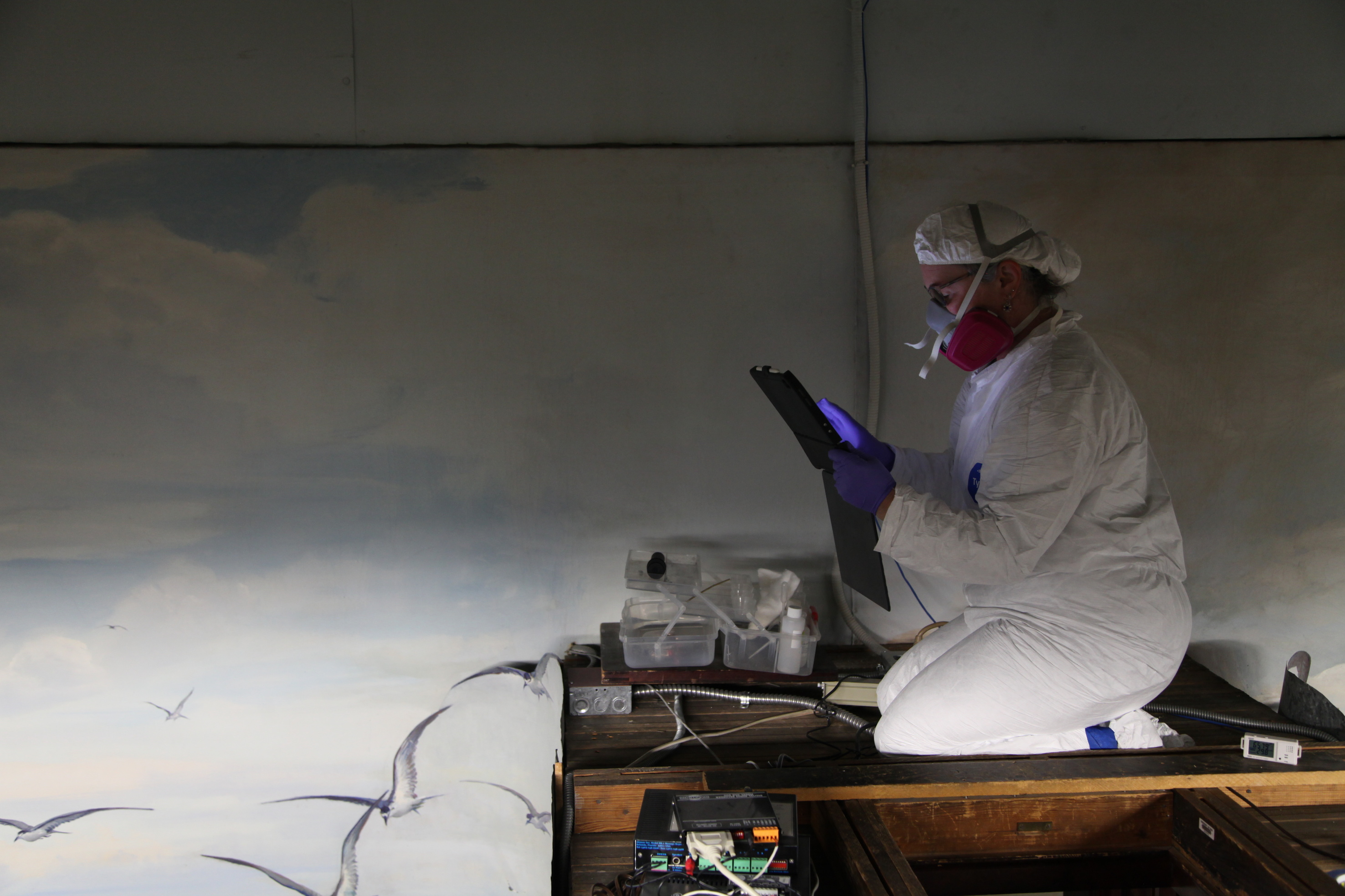 Nina examines east wall of cyclorama mural