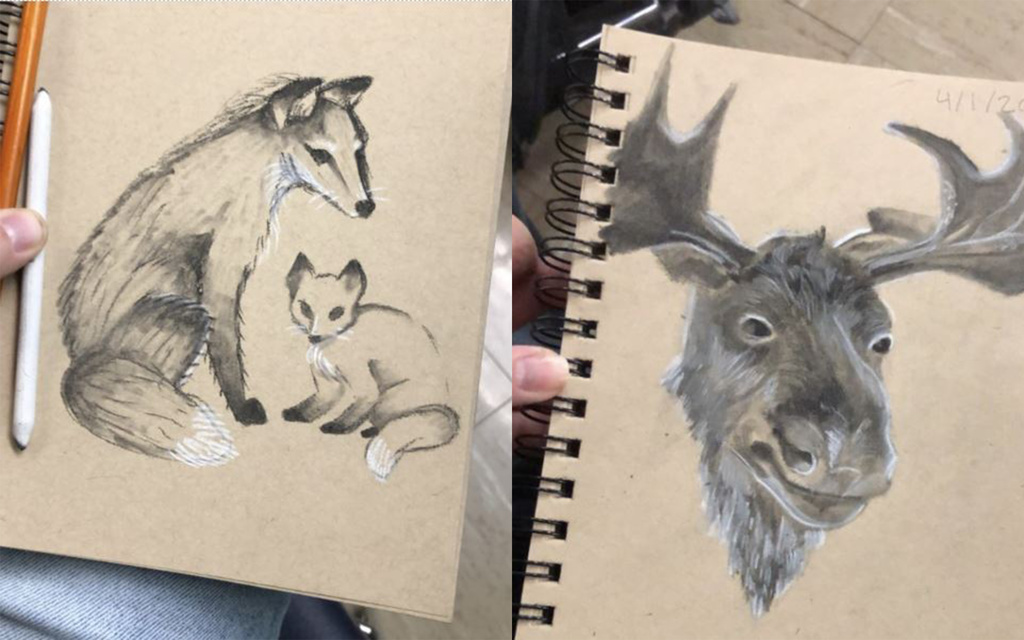 Mammal Drawings
