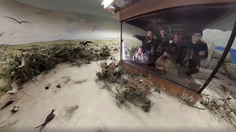Laysan Island Cyclorama Restoration photos
