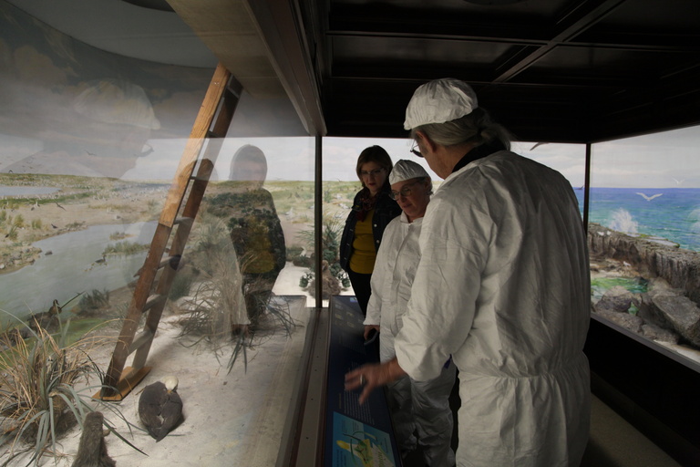 Laysan Island Cyclorama Restoration photos