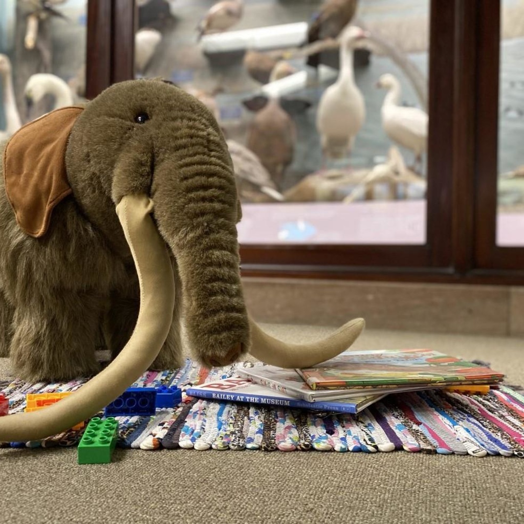 Read on the Rug promotional image