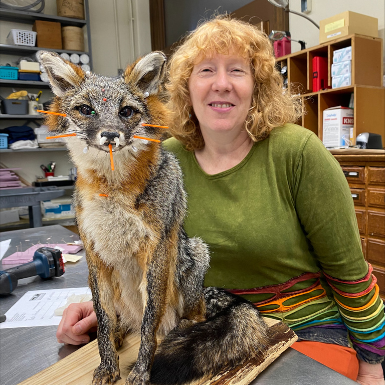 Cindy Opitz, UIMNH Director of Research Collections