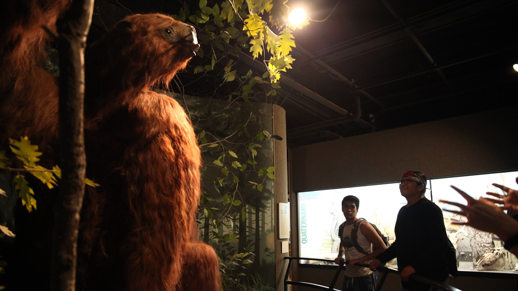UI Museum of Natural History's Rusty the Giant Sloth