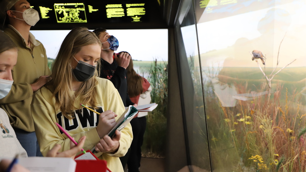 Students in Samuel Taylor’s Introduction to Environmental Sciences lab examine the prairie exhibit in Iowa Hall.