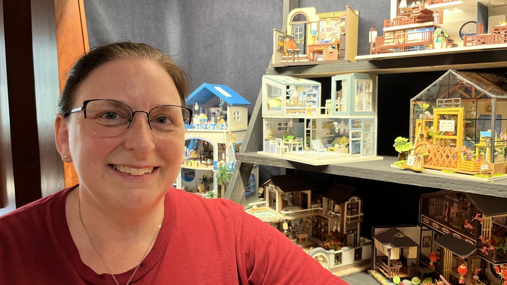 My Collections collector with tiny houses.