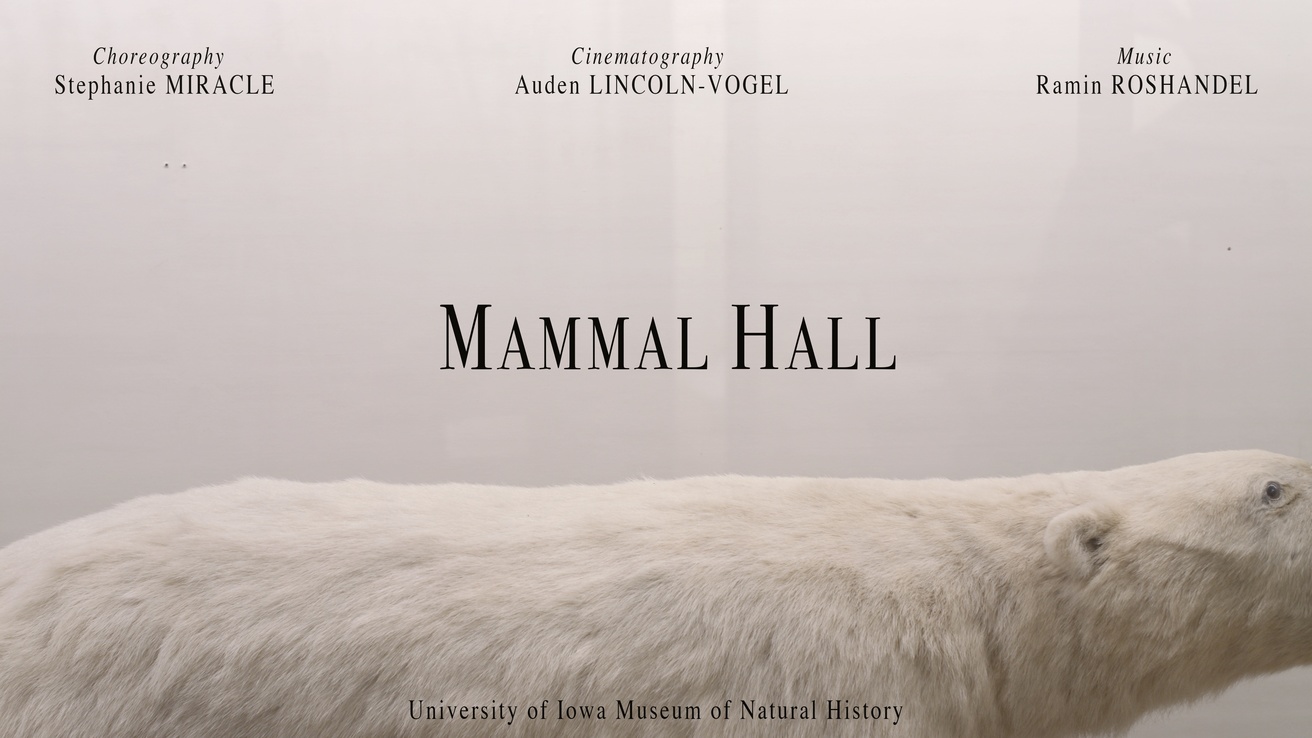 MAMMAL HALL film
