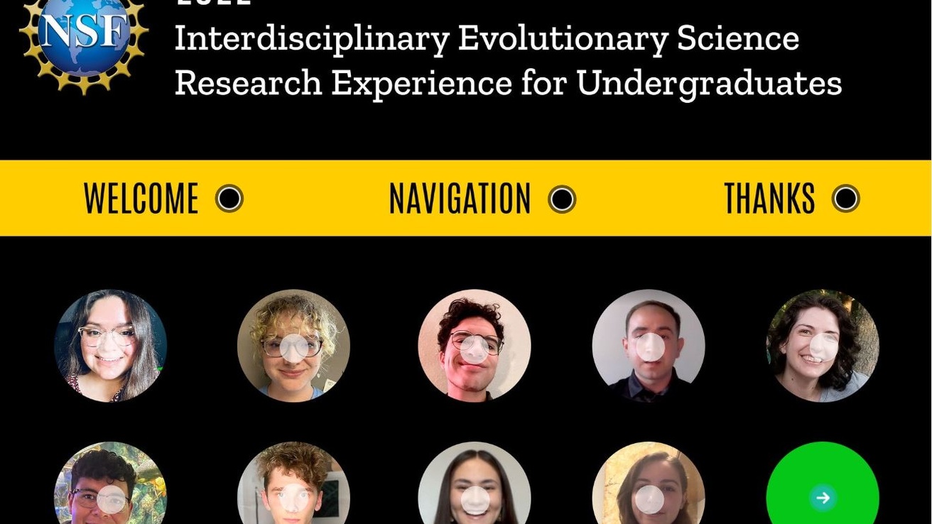 Research Experience for Undergraduates virtual scientific posters