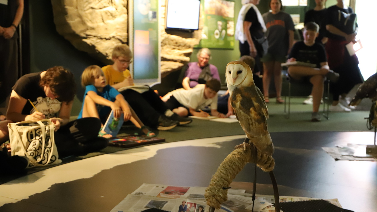 UI Raptor Center collaboration during Art & Write Night at the UI Museum of Natural History